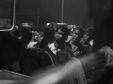 Livelihood